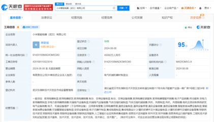 小米在武漢成立智能電器公司 注冊資本4.5億的戰略布局與信息咨詢服務新機遇